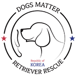 한국 리트리버 레스큐
